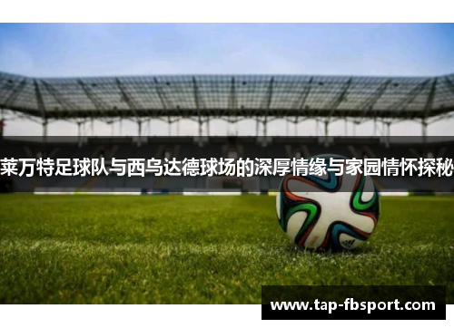 莱万特足球队与西乌达德球场的深厚情缘与家园情怀探秘