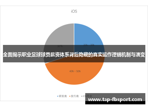 全面揭示职业足球球员薪资体系背后隐藏的真实运作逻辑机制与演变 全面揭示职业足球球员薪资体系背后隐藏的真实运作逻辑机制与演变