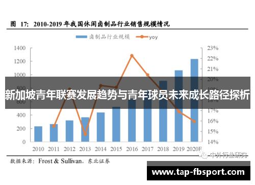 新加坡青年联赛发展趋势与青年球员未来成长路径探析